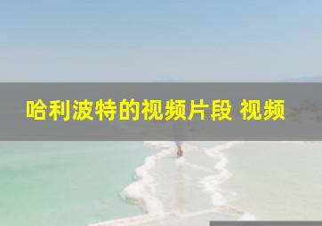 哈利波特的视频片段 视频